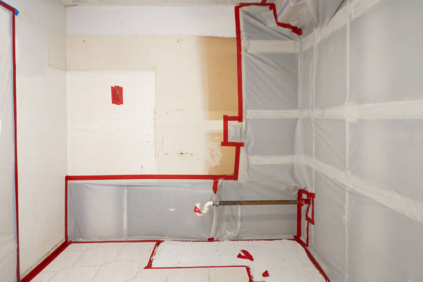 Best Water Damage & Mold Remediation  in Centerville, IA