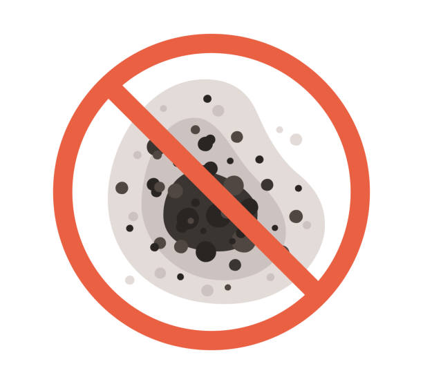 Best Residential Mold Inspection & Testing  in Centerville, IA