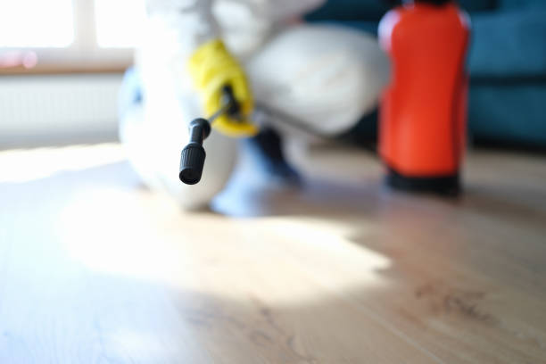 Best Real Estate Mold Inspection  in Centerville, IA