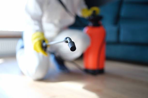 Environmental Consulting for Mold Prevention in Centerville, IA