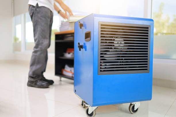 Best Air Quality Testing for Mold Spores  in Centerville, IA