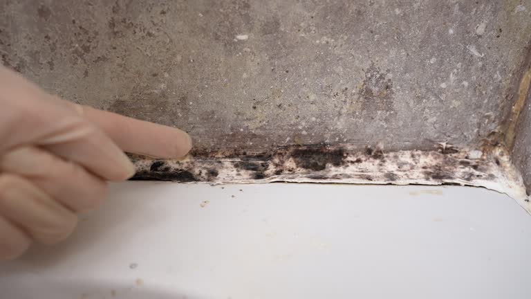 Forensic Mold Investigation in Centerville, IA